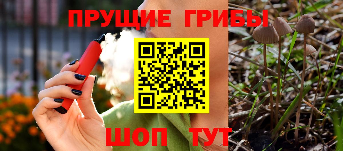 Богданович  Псилоцибиновые грибы ЛСД  Вход с VPN 